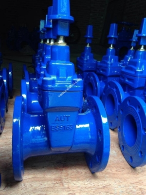 Van cổng AUT DN80